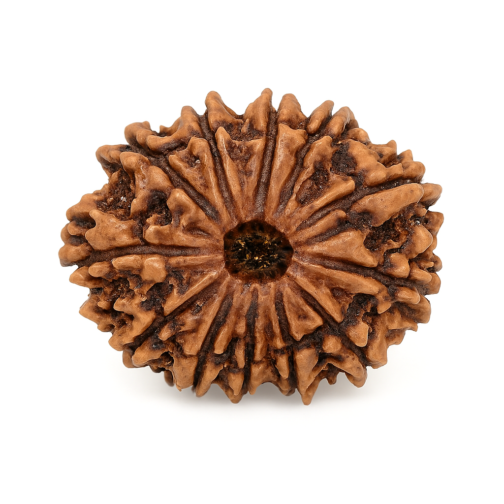 12 Mukhi (Nepal)