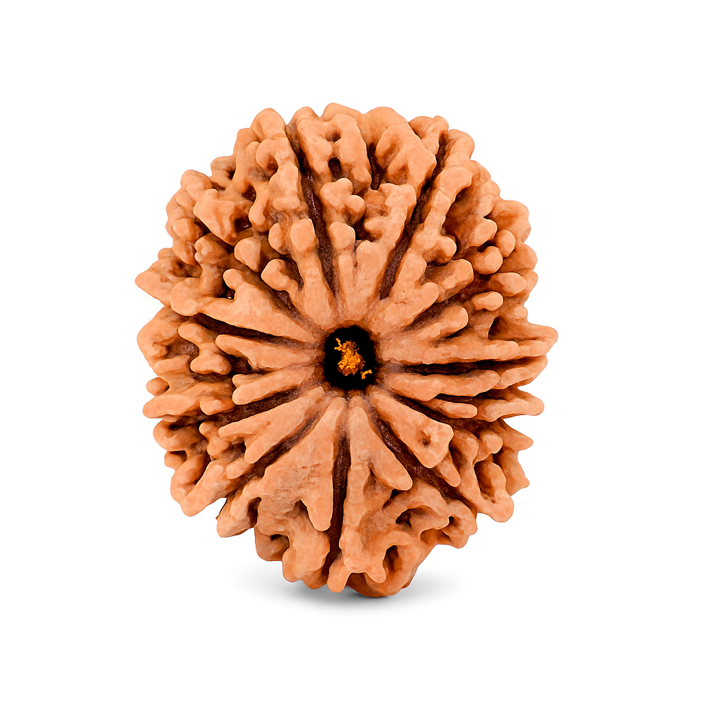 13 Mukhi (Nepal)