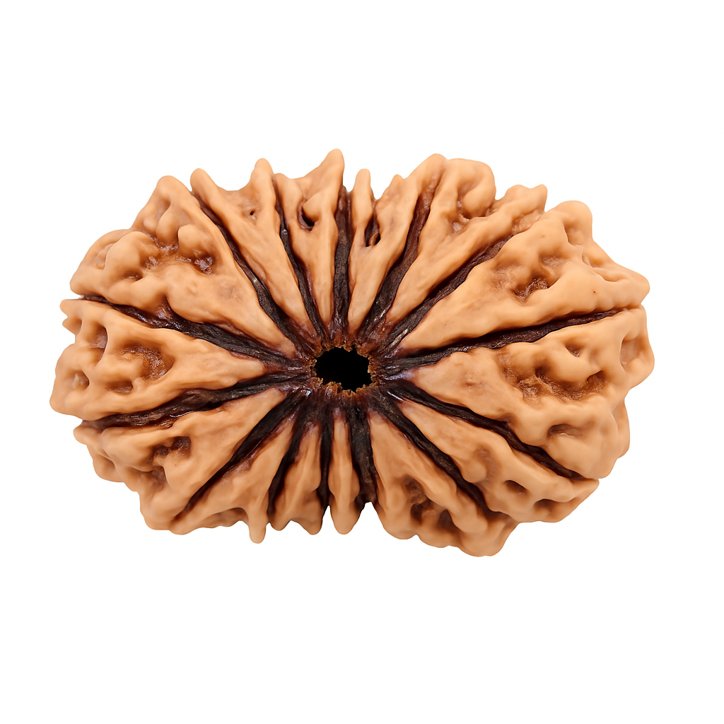 14 Mukhi (Nepal)