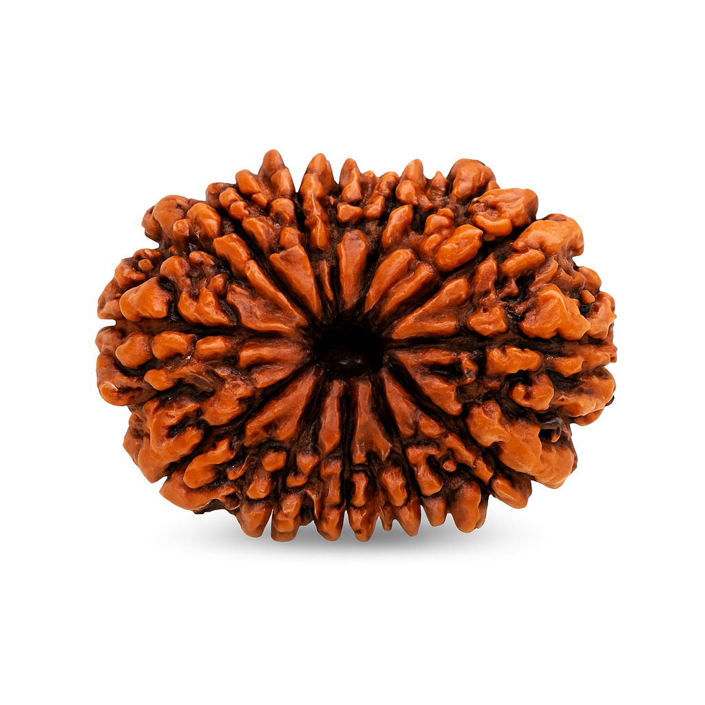 15 Mukhi (Nepal)