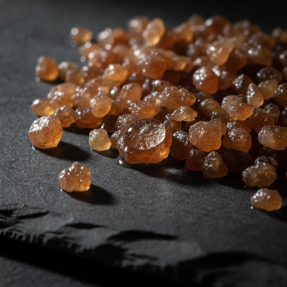 Jal Pravah Hessonite - macro