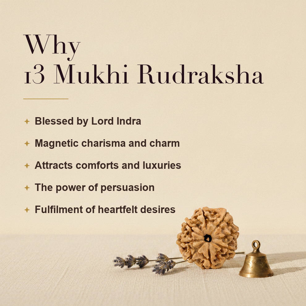 Why 13 Mukhi Rudraksha