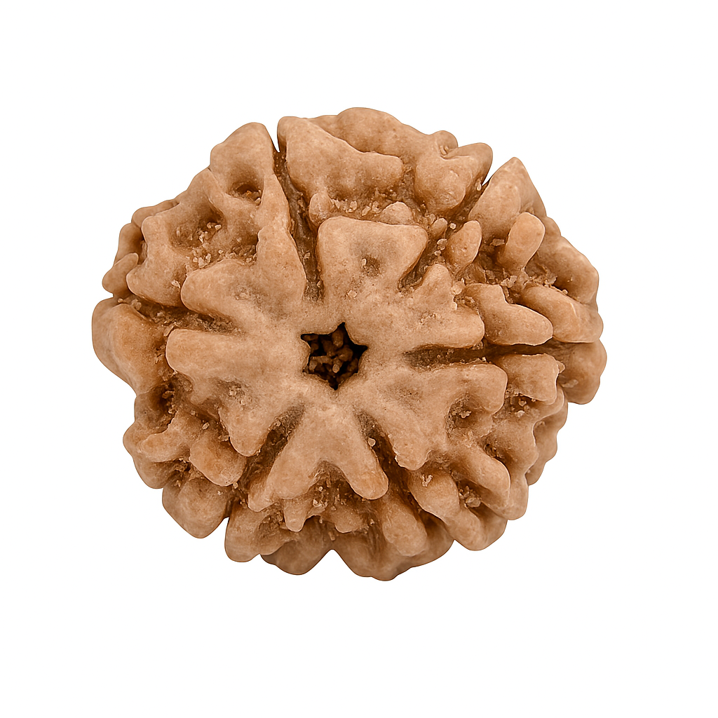 6 Mukhi (Nepal)