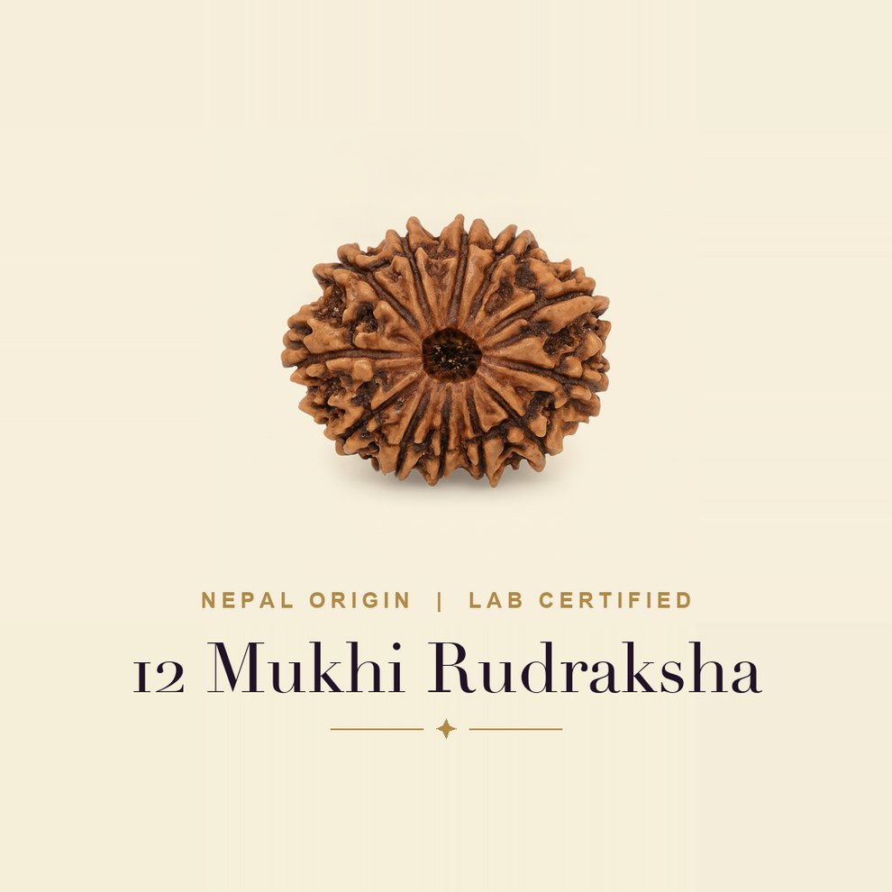 12 Mukhi Rudraksha — title card