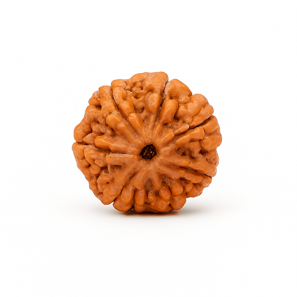 7 Mukhi (Nepal)