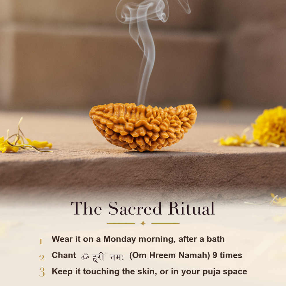 1 Mukhi Rudraksha sacred ritual