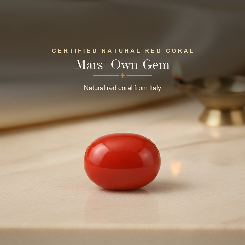 Red Coral (Moonga) — lifestyle hero