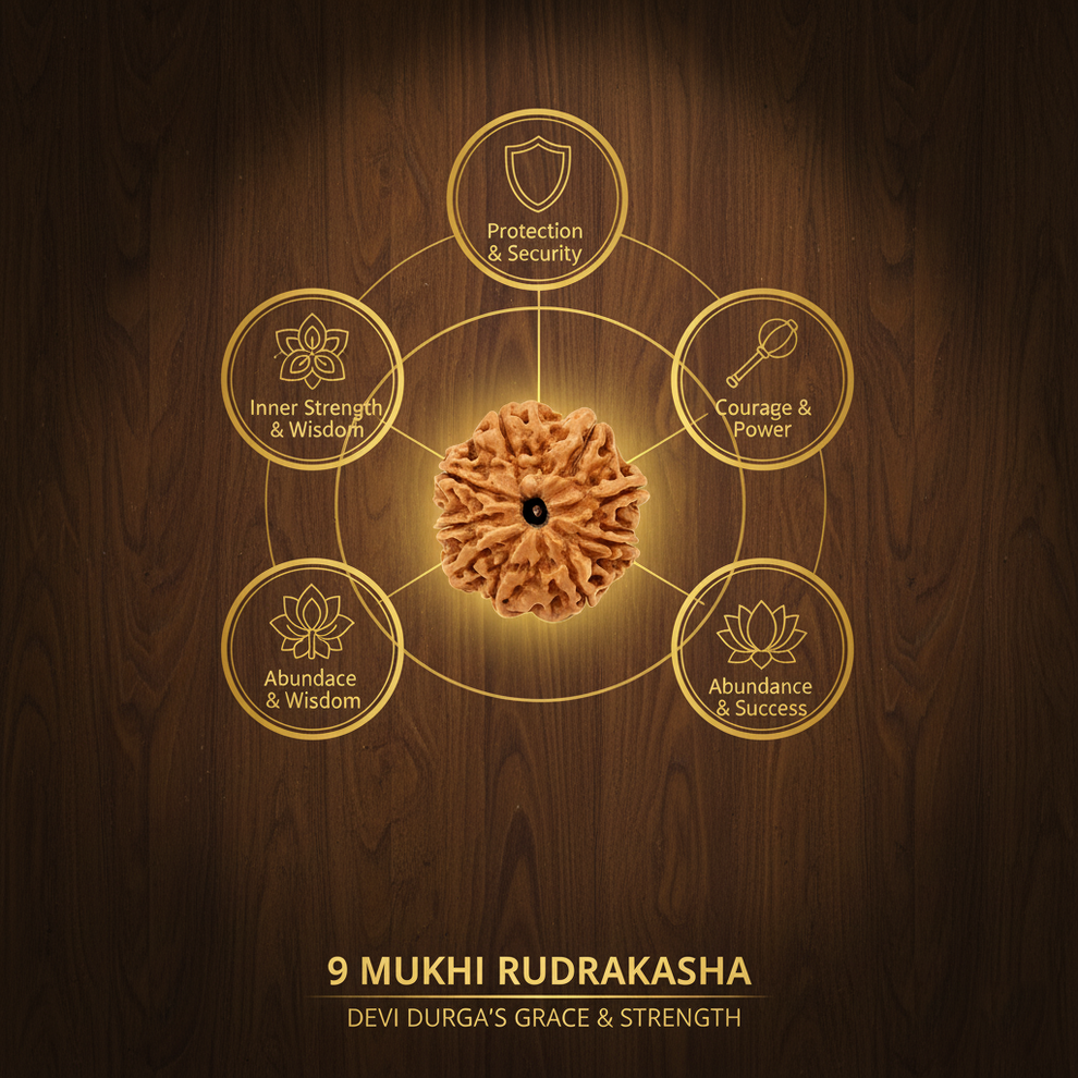 Benefits of 9 Mukhi Rudraksha