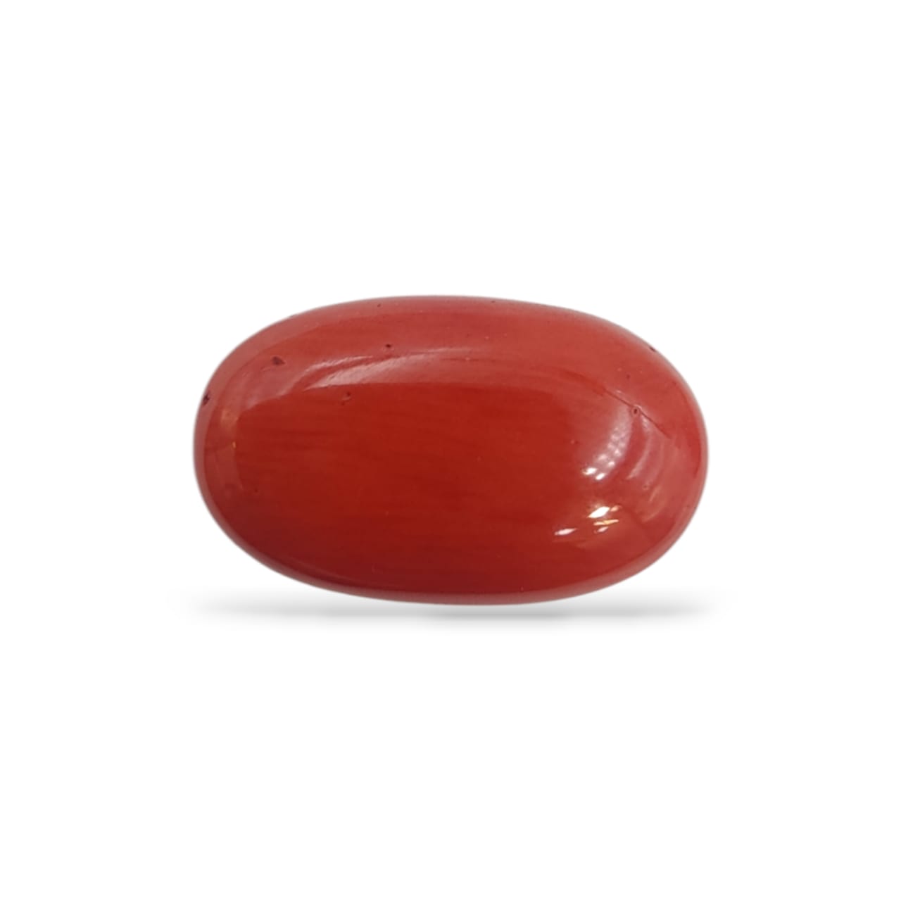 Coral (Medium)