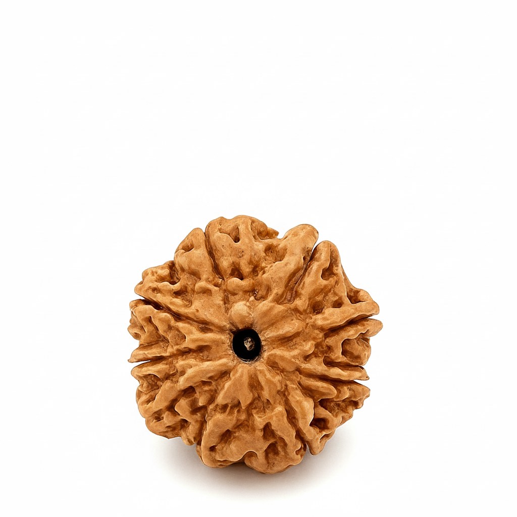 9 Mukhi (Nepal)