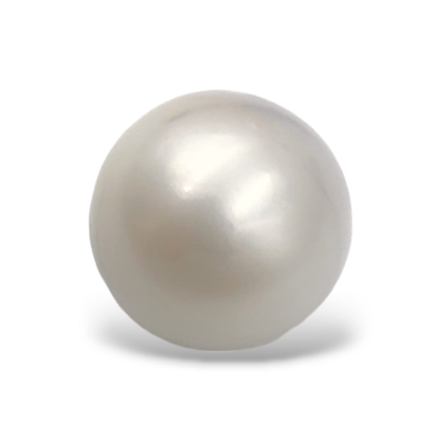 South Sea Pearl (Premium)