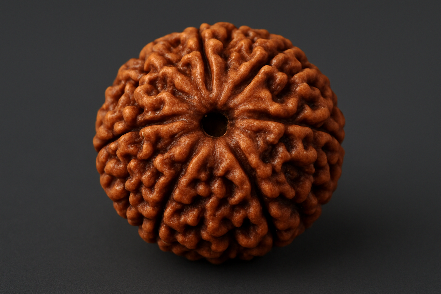 Rudraksha