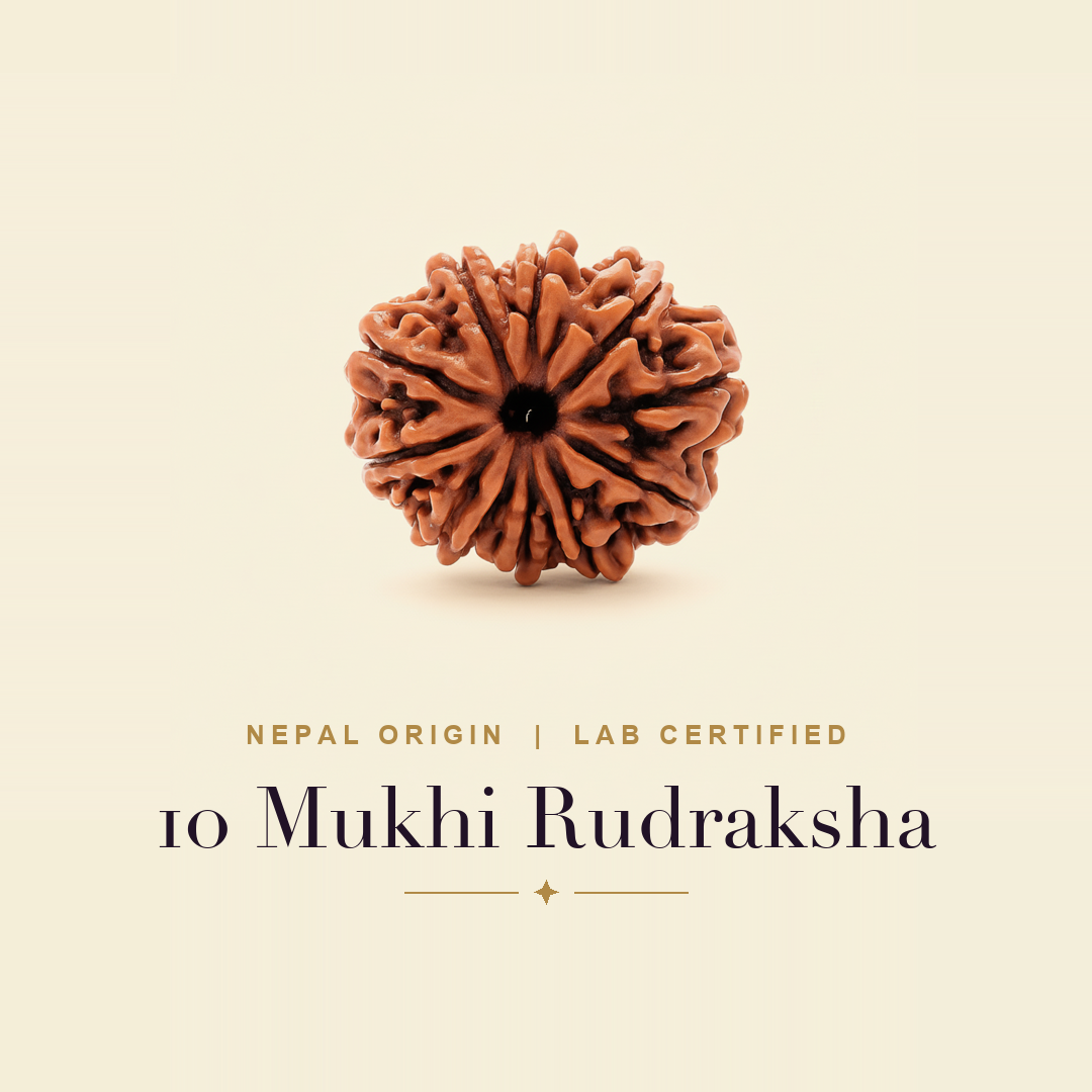 10 Mukhi Rudraksha — title card