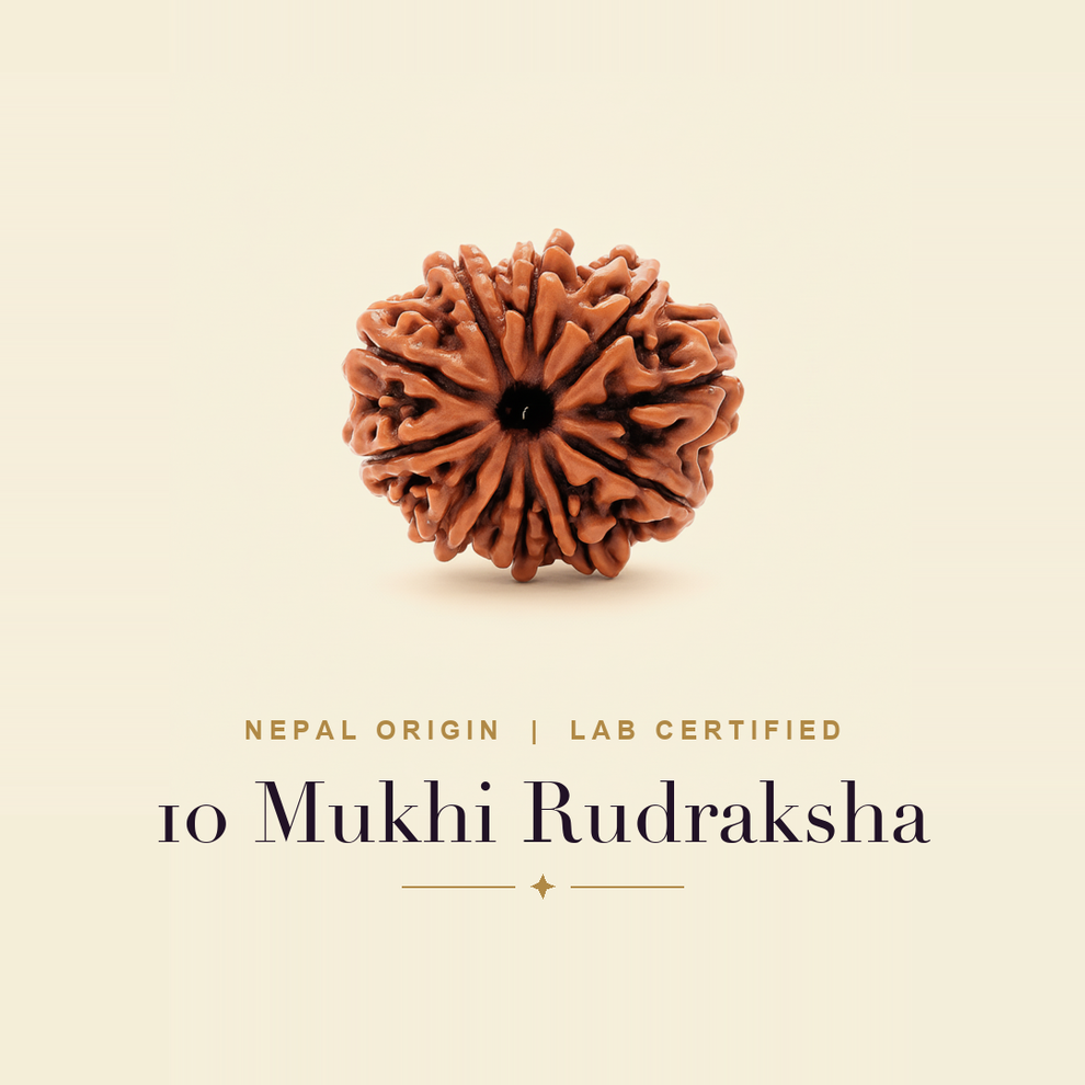 10 Mukhi Rudraksha — title card