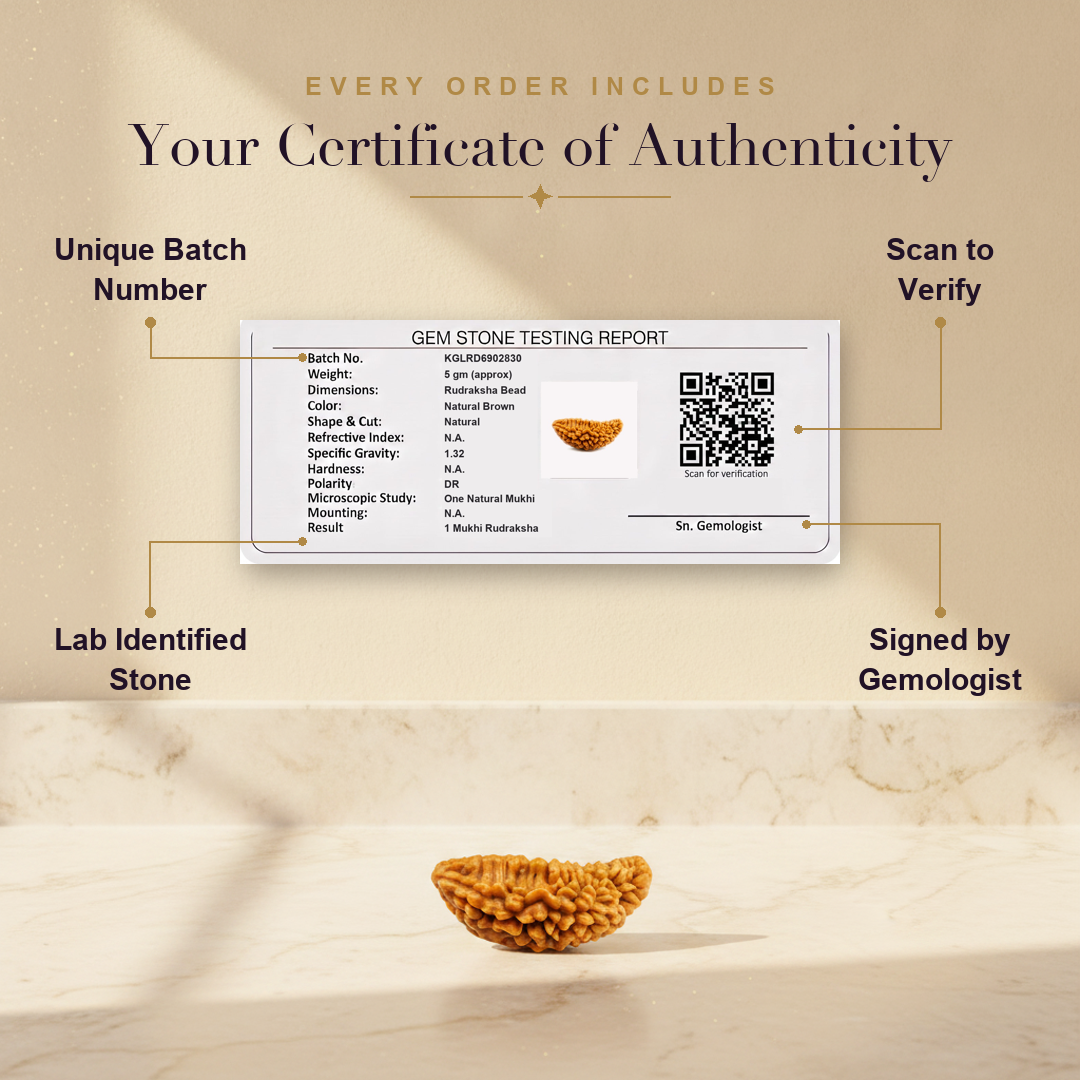 Aura AI trust: certificate of authenticity