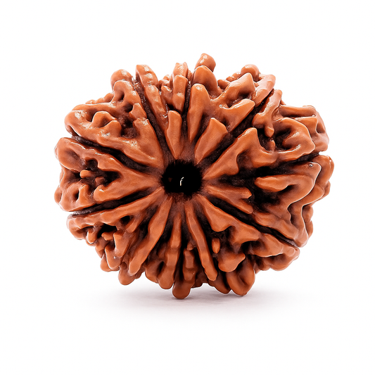 10 Mukhi (Nepal)