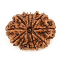11 Mukhi (Nepal)