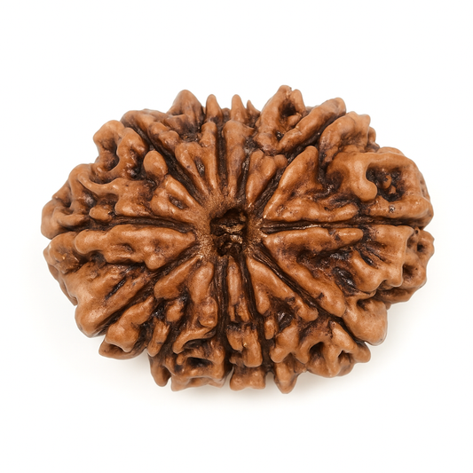 11 Mukhi (Nepal)