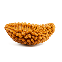 1 Mukhi (Rameswaram)