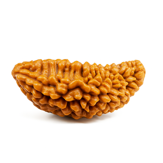 1 Mukhi (Rameswaram)