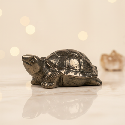 Abundance Aura Pyrite Turtle