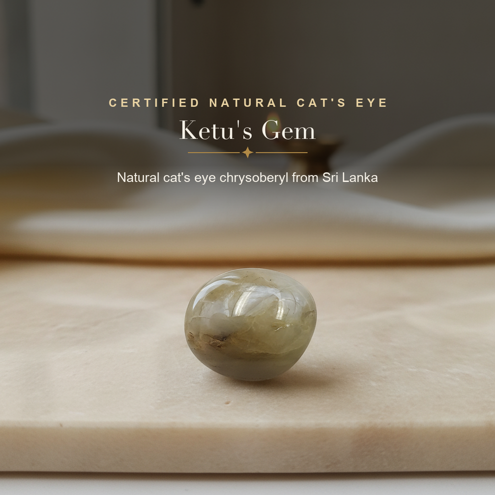 Cat's Eye (Lehsunia) — lifestyle hero