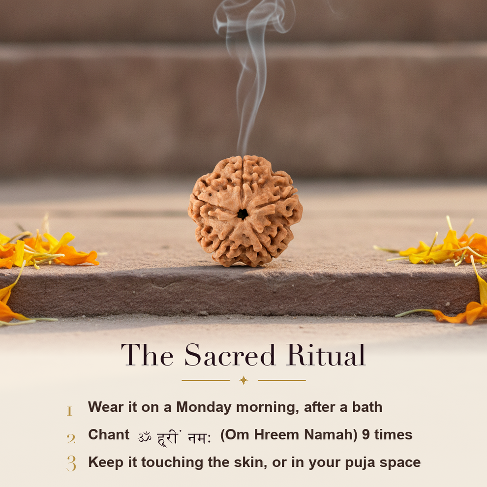 5 Mukhi Rudraksha sacred ritual
