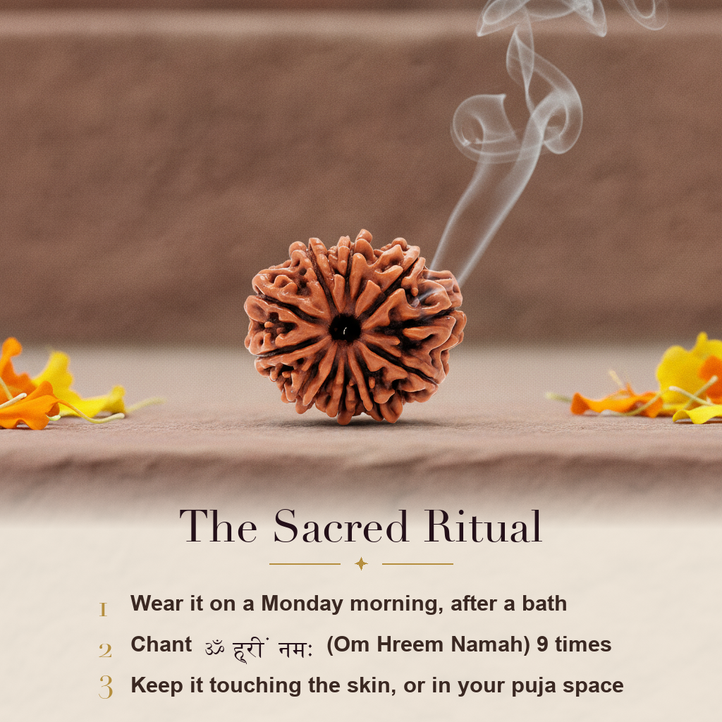 10 Mukhi Rudraksha sacred ritual