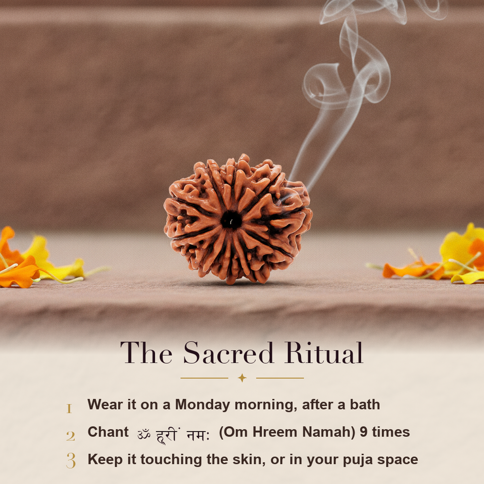 10 Mukhi Rudraksha sacred ritual