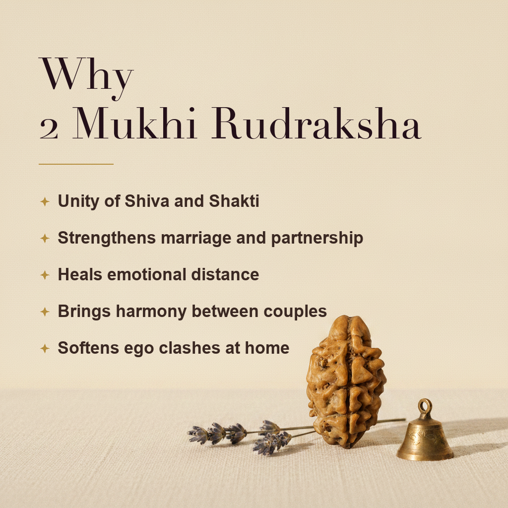 Why 2 Mukhi Rudraksha