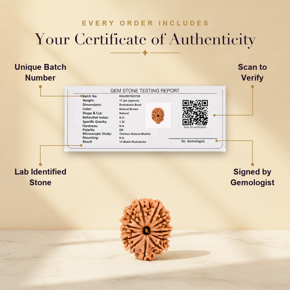 Aura AI trust: certificate of authenticity