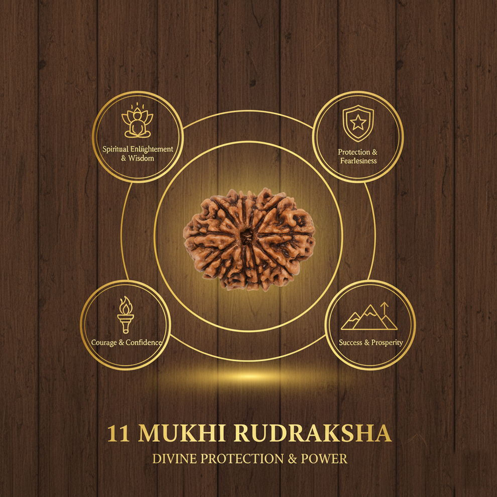 Benefits of 11 Mukhi Rudraksha