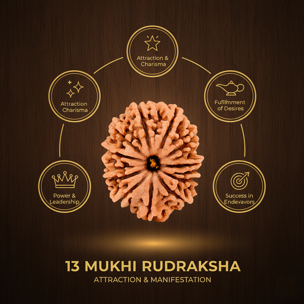 Benefits of 13 Mukhi Rudraksha