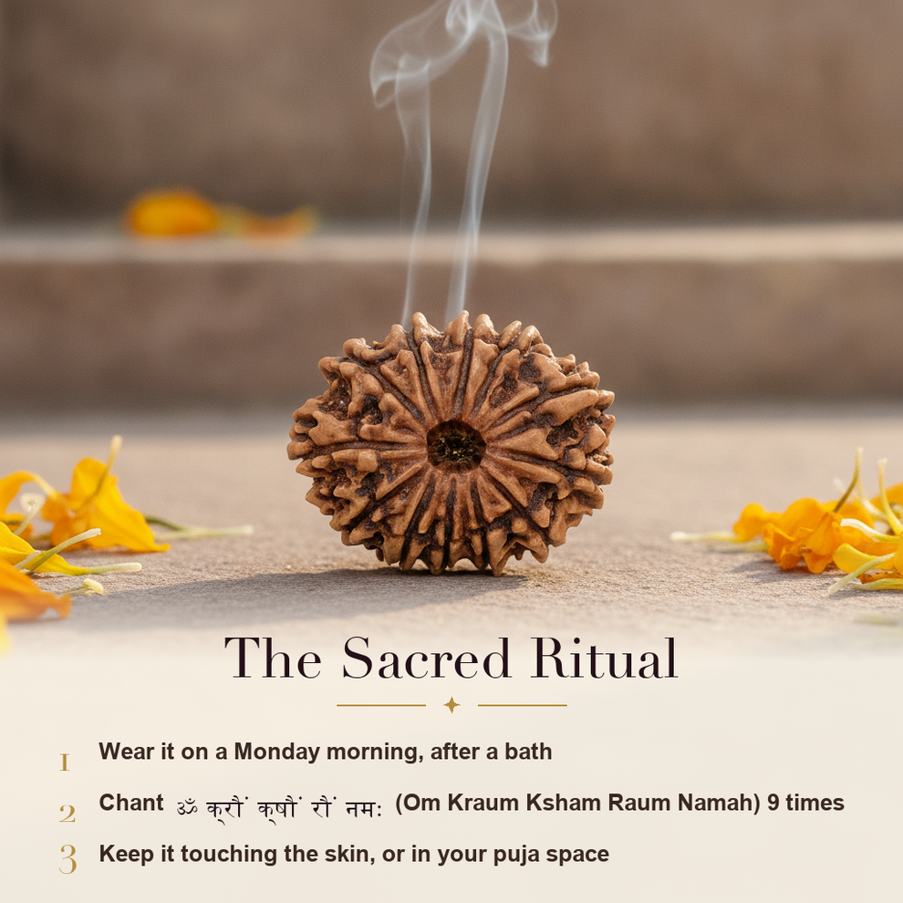 12 Mukhi Rudraksha sacred ritual