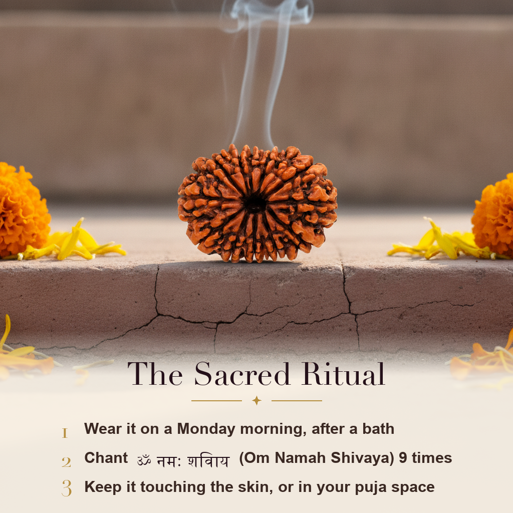 15 Mukhi Rudraksha sacred ritual