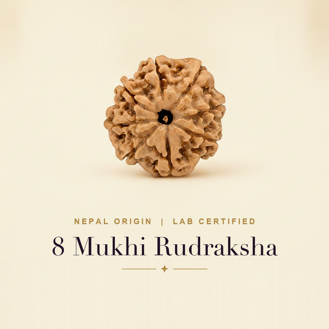 8 Mukhi Rudraksha — title card