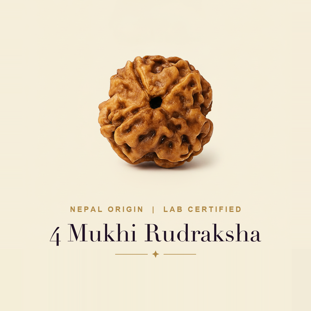 4 Mukhi Rudraksha — title card