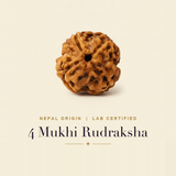 4 Mukhi