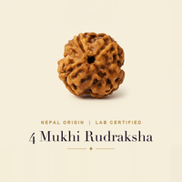 4 Mukhi (Nepal)