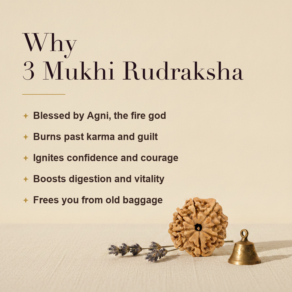 Why 3 Mukhi Rudraksha