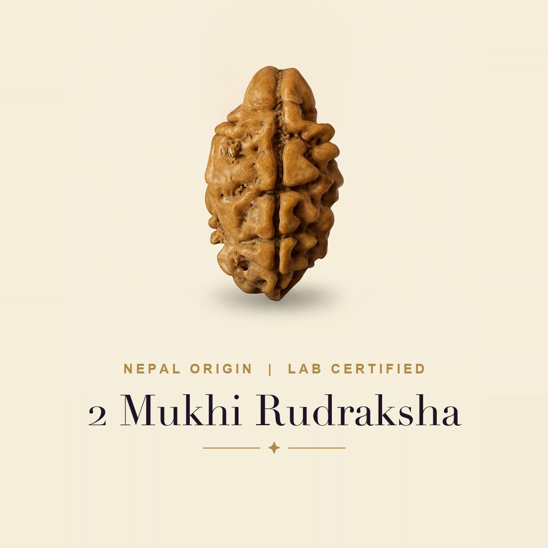 2 Mukhi Rudraksha — title card