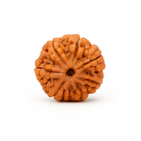 7 Mukhi (Nepal)