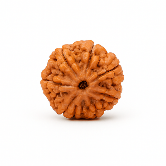 7 Mukhi (Nepal)