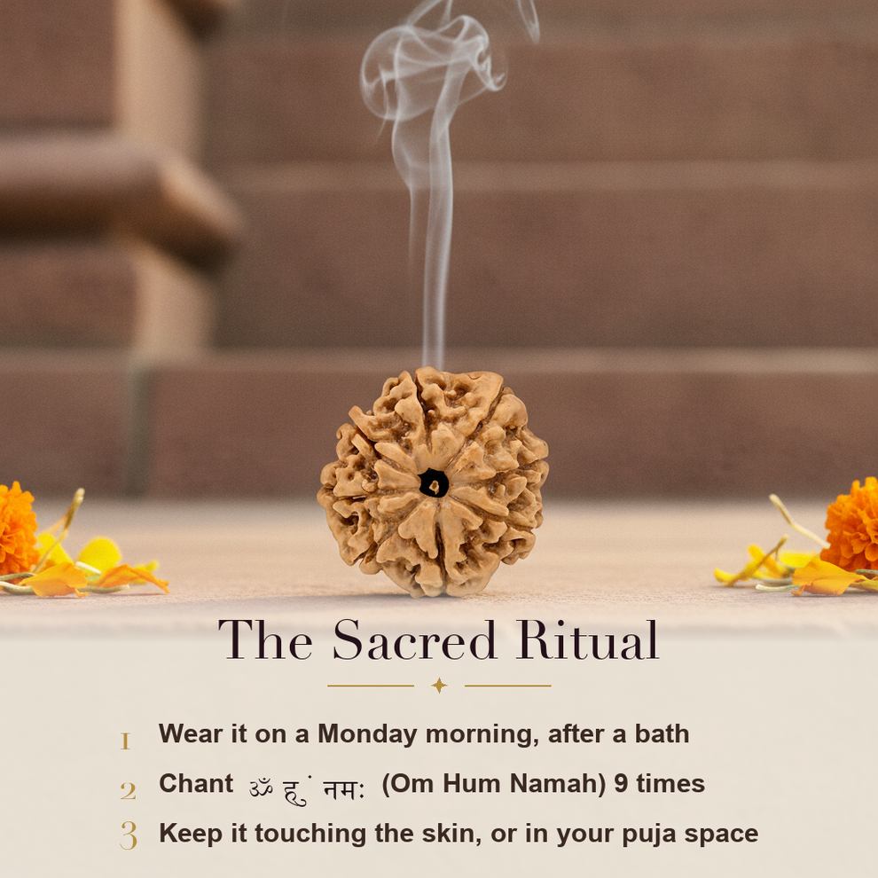 8 Mukhi Rudraksha sacred ritual