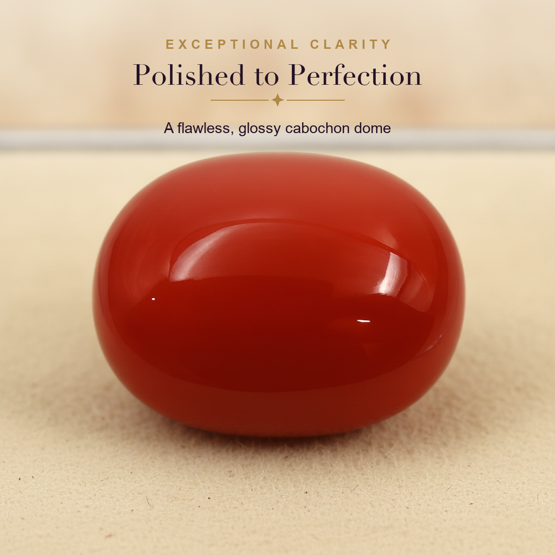 Red Coral (Moonga) — clarity macro