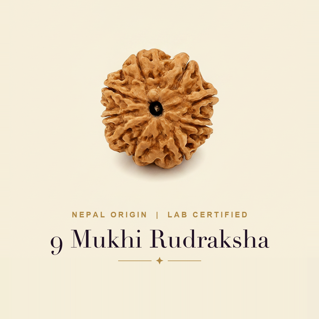 9 Mukhi Rudraksha — title card