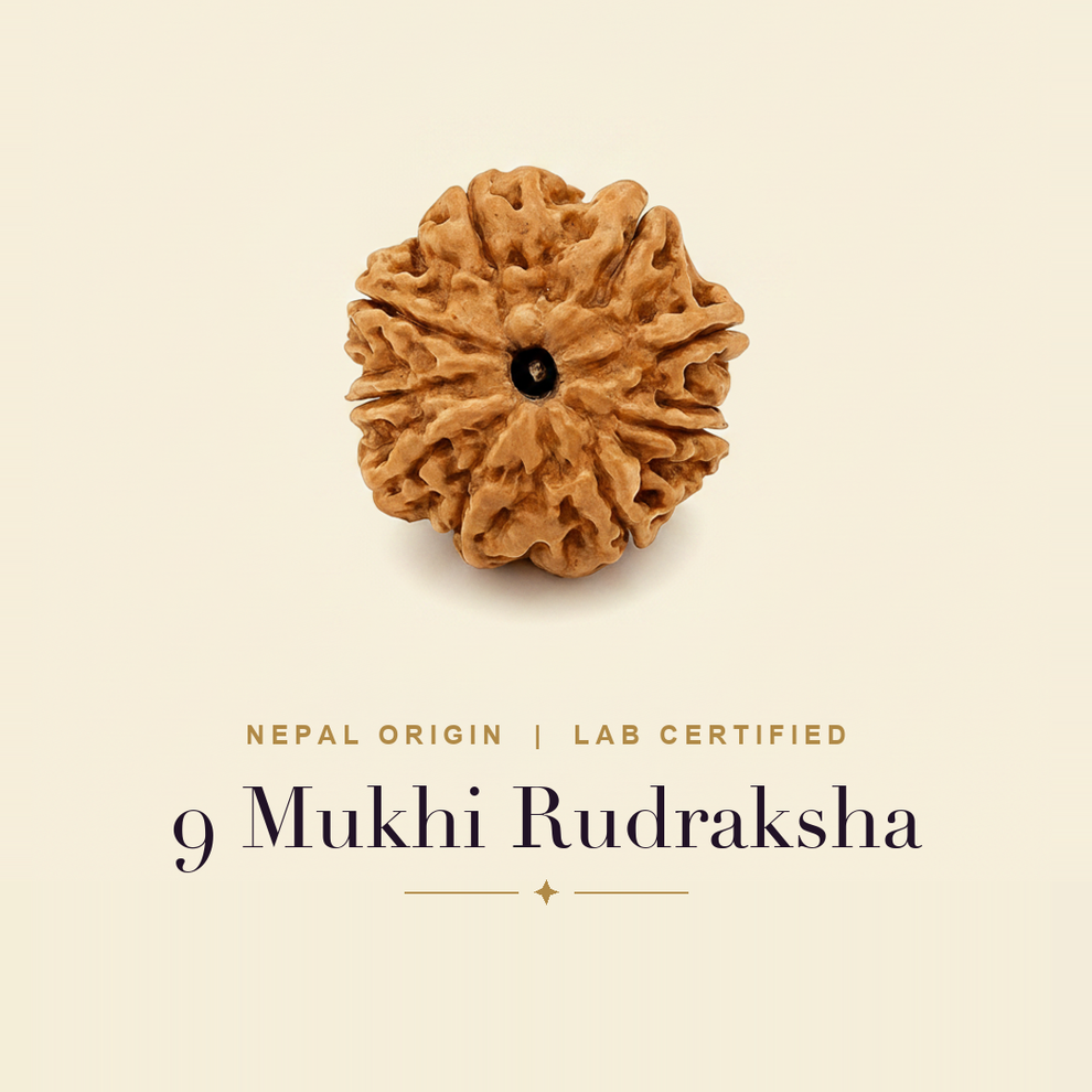 9 Mukhi Rudraksha — title card