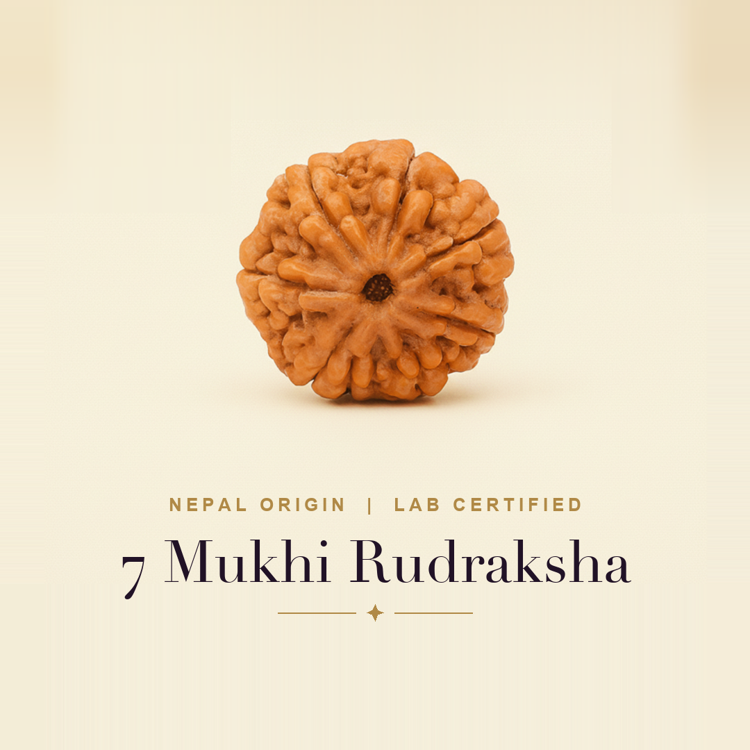7 Mukhi Rudraksha — title card