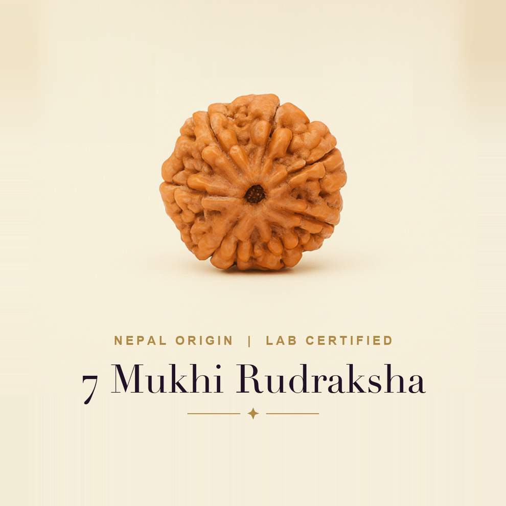 7 Mukhi Rudraksha — title card