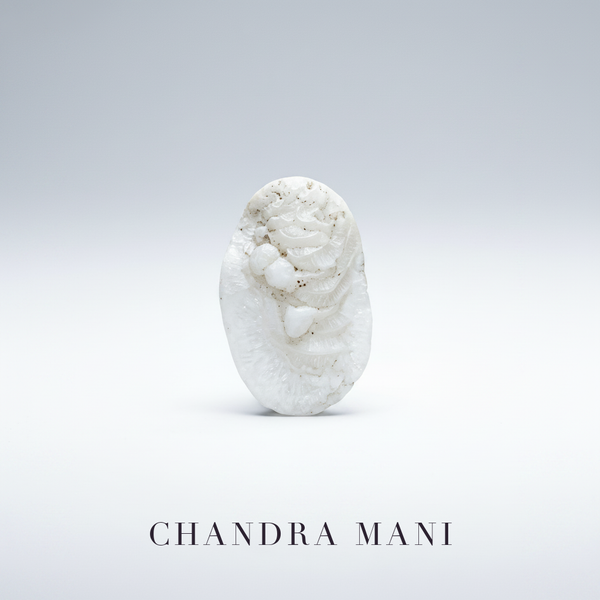 Chandra Mani